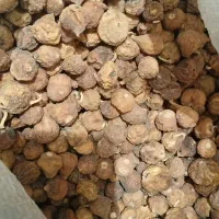 انجیر کوهی استهبان فقط وفقط عمده|خوردنی و آشامیدنی|اهواز, کمپلو شمالی|دیوار