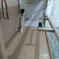قفس پرنده یا جوجه