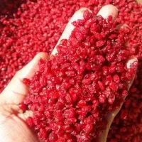 زرشک پفکی تازه ب شرط|خوردنی و آشامیدنی|قم, شهرک سازمان آب|دیوار