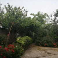 خانه باغ ویلایی پیربازار|اجارهٔ خانه و ویلا|پیربازار, |دیوار