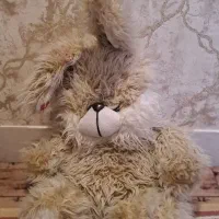 اسباب بازی عروسک خرسی وگربه  گیتار|اسباب‌بازی بچه|قم, انسجام|دیوار