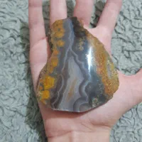 عقیق شجر .راف|کلکسیون و سرگرمی|رشت, توشیبا|دیوار