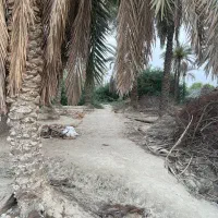 زمین باغ دارای سند در روستای ماگیان|فروش دفتر صنعتی، کشاورزی، تجاری|میناب, |دیوار