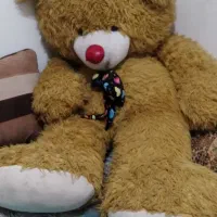 خرس شاسخین|اسباببازی بچه|تنکابن, |دیوار