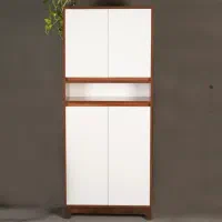 جاکفشی مدل رویان