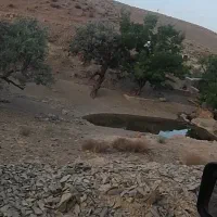 گردش گری
