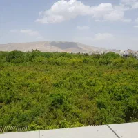 باغ 1500متری* بهزیستی،کمپ،سالمندان*|اجارهٔ خانه و ویلا|شیراز, دکتر حسابی|دیوار