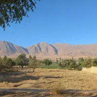 خ اصلی شهر ویست