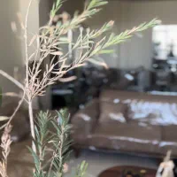 فروش آرایشگاه