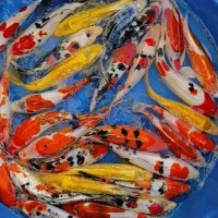 ماهی  کوی|ماهی|اصفهان, کوجان|دیوار