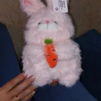 عروسک خرگوش هویج به دست