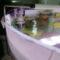 آکواریوم شیشه خم حلال|ماهی|شیراز, شیشهگری|دیوار