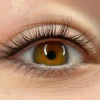 آموزش تخصصی آرایش دائم|خدمات آموزشی|تبریز, |دیوار