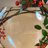 استخدام پرستار خانم برای سالمند پوشکی ویلچری