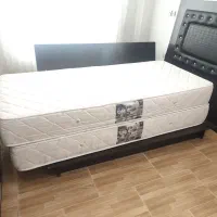 تشک لیپاریس