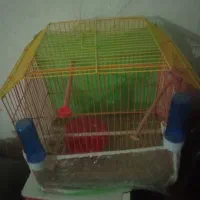 قفس سالم و نو|لوازم جانبی حیوانات|ایرانشهر, |دیوار