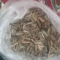 سیاهدانه حدود۸۰۰کیلووتخمه آفتاب گردان حدود۴۰۰کیلو|عمده‌فروشی|سنقر, |دیوار