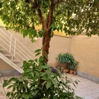 آپارتمان 88متر/منیریه/اسد منش/دهستانی/پارکینگدار|فروش آپارتمان|تهران, منیریه|دیوار