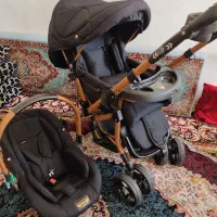 کالسکه وکریر دلیجان