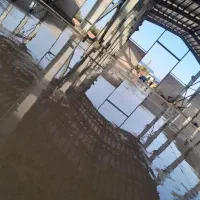 بتن ریزی کف با ماله پروانه ای و تراز لیزری|خدمات پیشه و مهارت|زنجان, |دیوار