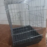 قفس