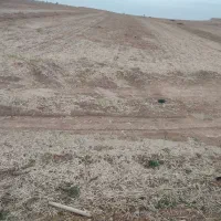 زمین-کشاورزی-برای-اجاره