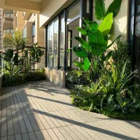 (شامادورا) بوته 18 برگ انجیری فلاورباکس درختچه ایی|گل مصنوعی|تهران, بروجردی|دیوار