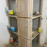 قفس چوبی جفتگاه