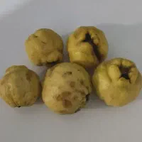 به محلی