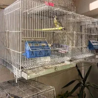 قفس پرون اردشیر|لوازم جانبی حیوانات|تهران, فلاح|دیوار