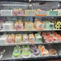 وردست تر کار  و وردست کیک ساز و دسر زن وکارگر ساده