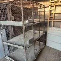 قفس،طوربند،گندم ونان دامی تمیز