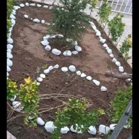 باغبانی سمپاشی هرس کاری تیلرزنی در تمام نقاط مشهد