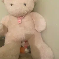 Beautiful bear