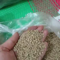 کشمش آفتابی با کیفیت|خوردنی و آشامیدنی|نیشابور, شهرک فیروزه|دیوار