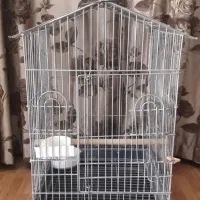 قفس بزرگ کاسکو و پرنده