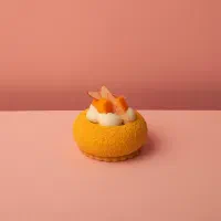 عکاسی مدلینگ و محصولات|خدمات پذیرایی، مراسم|تهران, فلسطین (میدان انقلاب)|دیوار