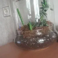 گلدان ، گل رز مصنوعی، گل شمعدانی ، گل شب بو|گل مصنوعی|تهران, دژکام|دیوار