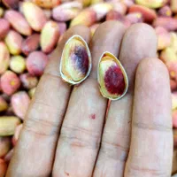 پسته تازه درجه یک + هایپر میوه گلچین|خوردنی و آشامیدنی|شاهدشهر, |دیوار