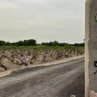 ۹۰۰۰ کتر سندتکبرگچ|فروش زمین و ملک کلنگی|رباط‌کریم, پیغمبر|دیوار