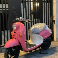 موتور پاکشتی یاماها صورتی در حد صفر واقعی