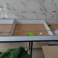 چند میز میوه فروشی و سبزی به فروش میرسد