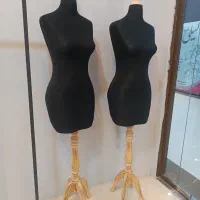 مانکن و رگال