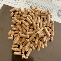 خوراک دام و طیور