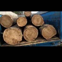 خرید چوب