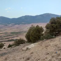 ملک در زمین باغی|فروش دفتر صنعتی، کشاورزی، تجاری|کیاسر, |دیوار