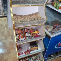 یخچال شش درب عباسپور وتک درب|یخچال و فریزر|شیراز, وزیرآباد|دیوار