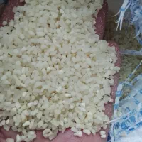 نیم دانه ۱۵۰