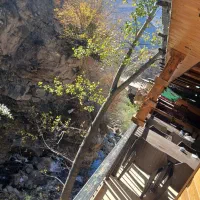 ((جهت کار در رستوران))