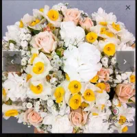 فروشنده حرفه ای کل فروشی